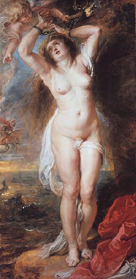 Peter Paul Rubens Perseus Freeing Andromeda France oil painting art
